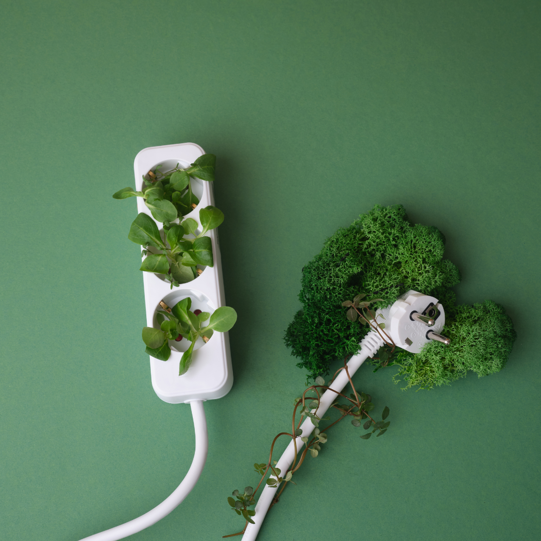 Hoeveel energie verbruikt een luchtontvochtiger? - Bloomfold.com