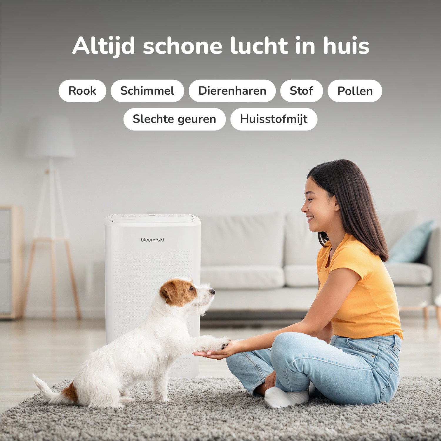 Bloomfold DryPure 12L Luchtontvochtiger & reiniger