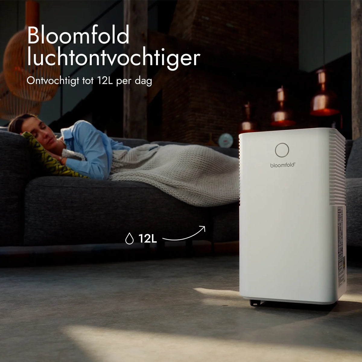 Desumidificador 12L Luna