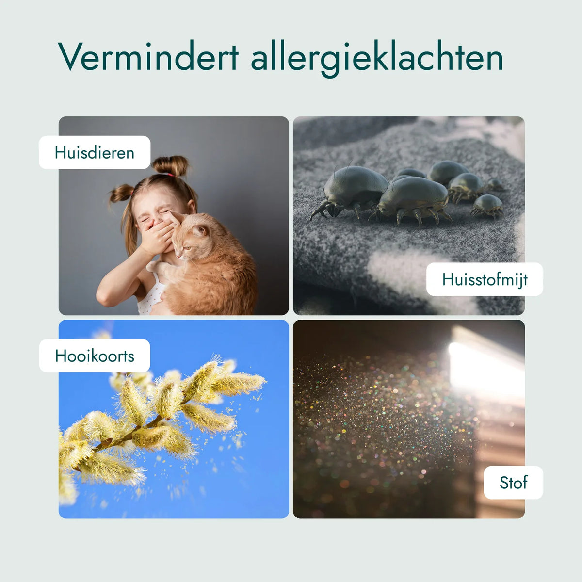 Luftreiniger Aura