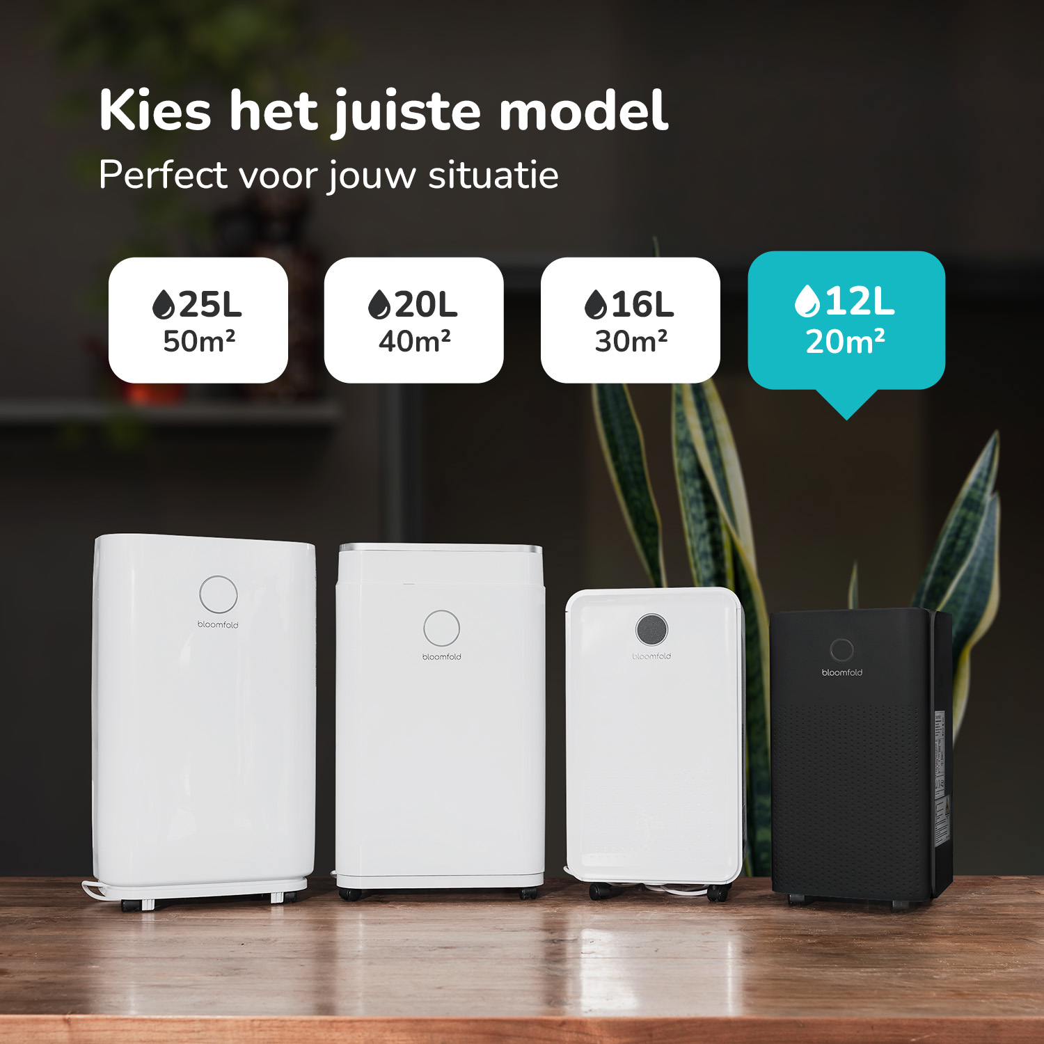 Bloomfold Luchtontvochtiger-12L-BF003zwart