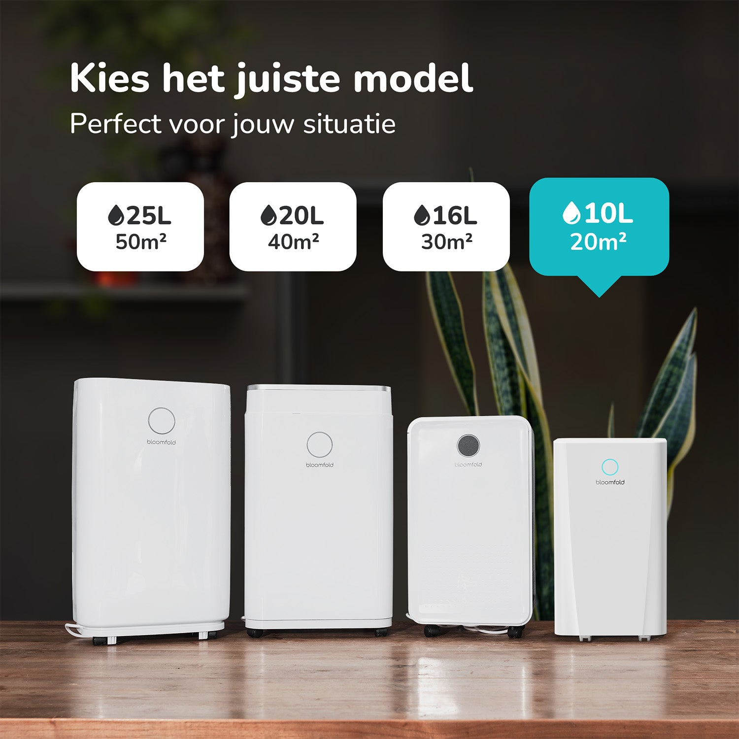 Bloomfold Luchtontvochtiger - 10L