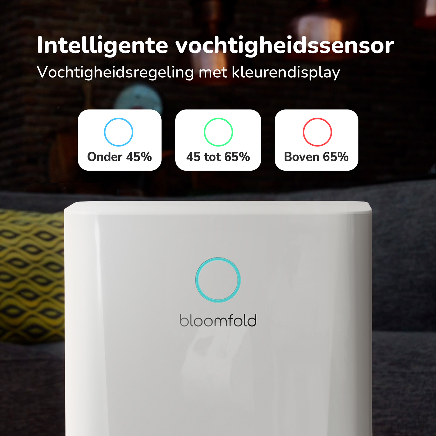 Bloomfold Luchtontvochtiger - 10L