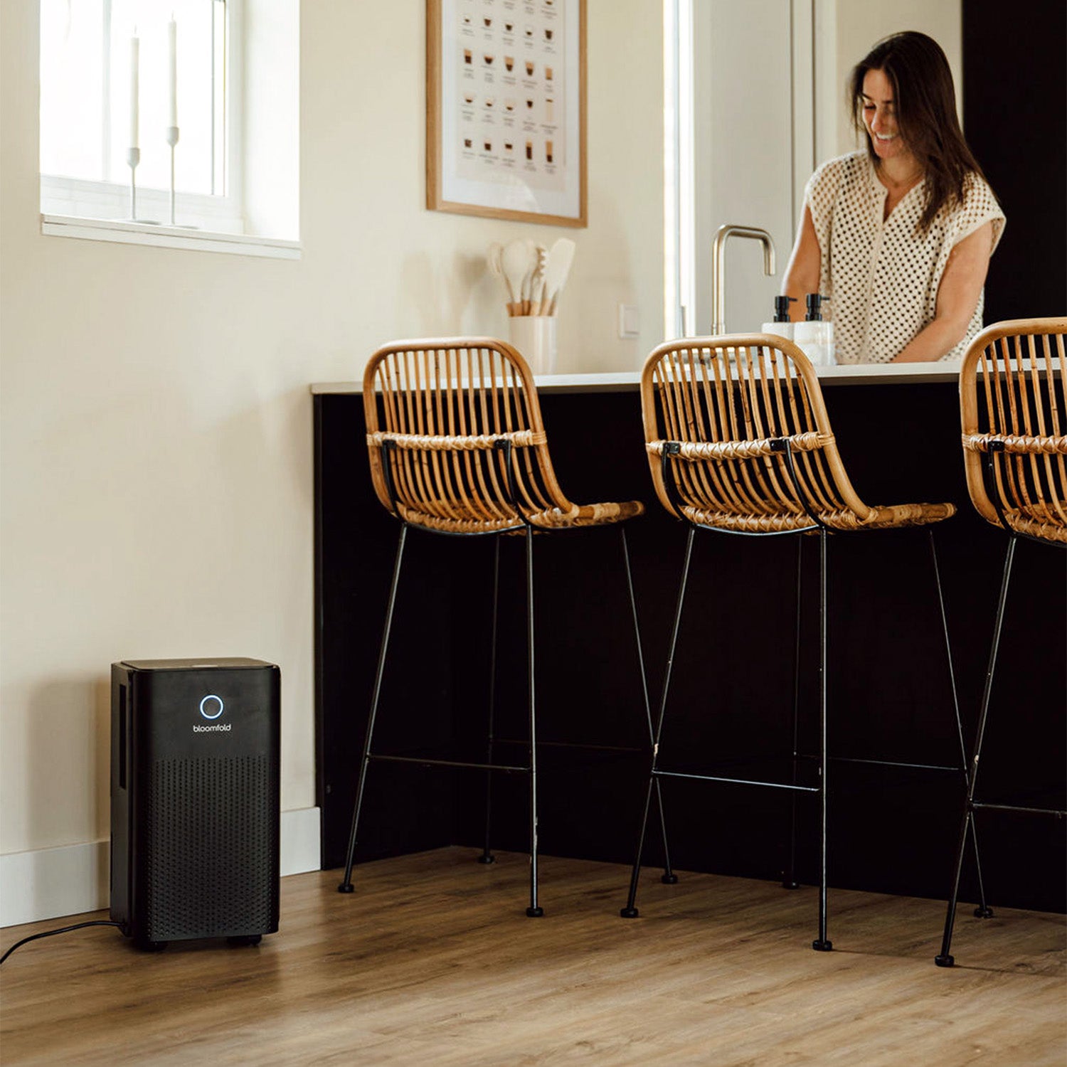 Luchtontvochtiger 12L Vivid - Zwart