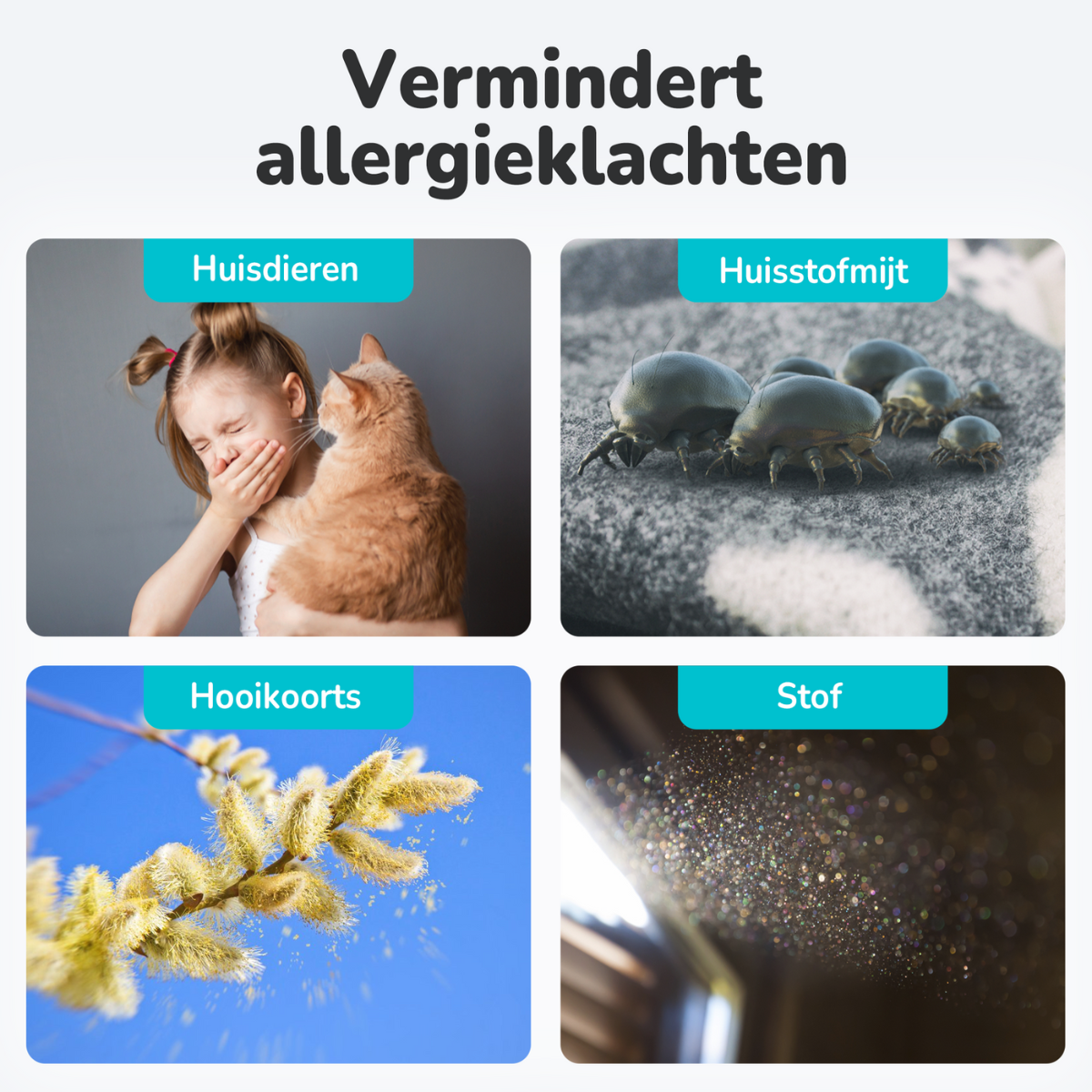 Air cleaner Aura