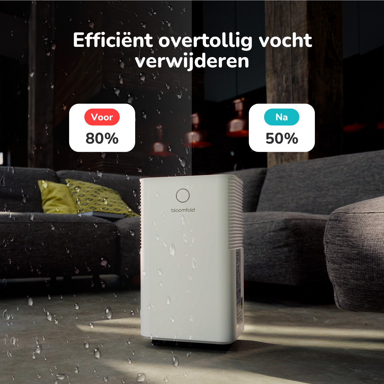 Luchtontvochtiger 12L Luna