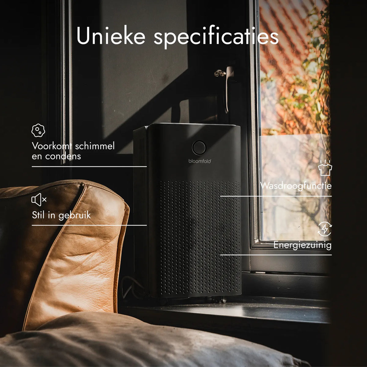 Deshumidificador 12L Vivid - Negro + higrómetro Pulse