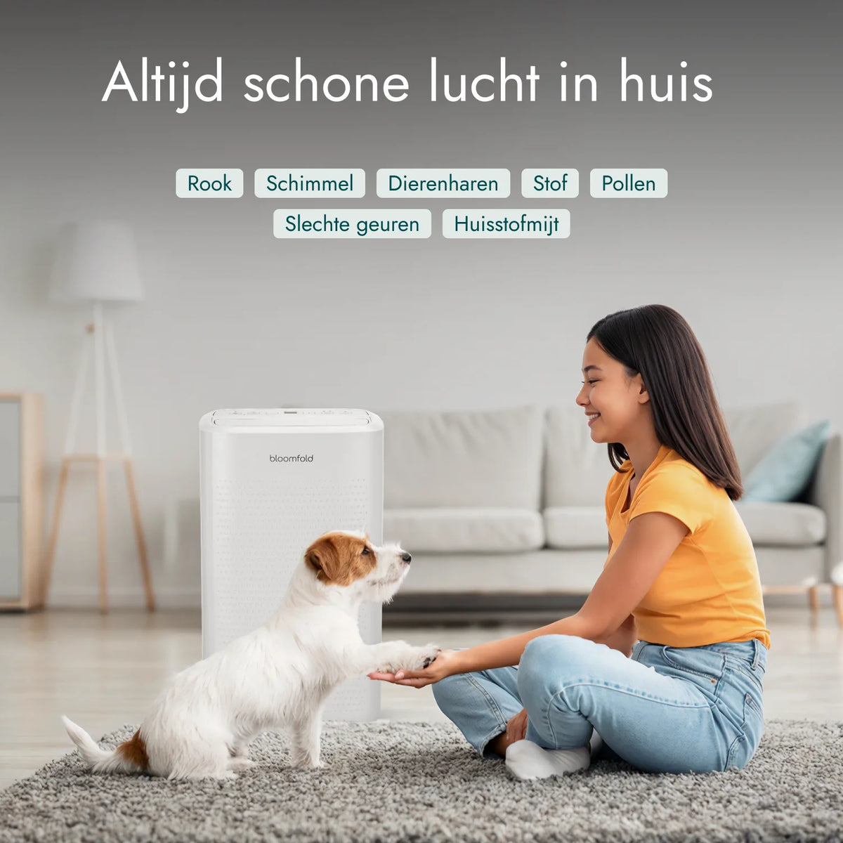 Bloomfold DryPure 12L Dehumidifier & Purifier